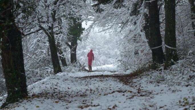 暴风雪中，穿着粉色冬衣的妇女带着她的狗穿过森林
