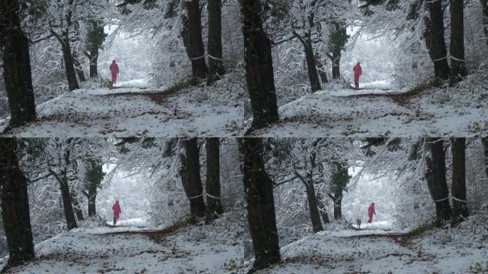 暴风雪中，穿着粉色冬衣的妇女带着她的狗穿过森林