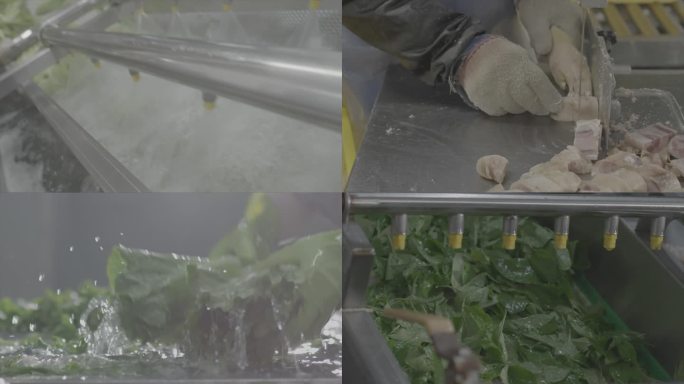 4K预制菜食品工厂生鲜洗蔬菜肉质切割