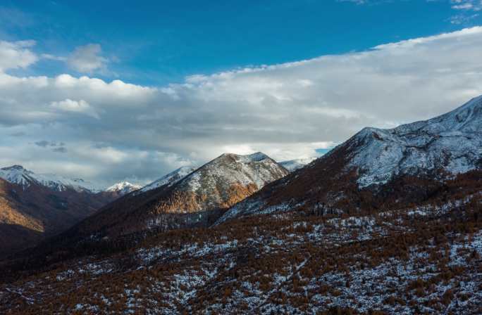 航拍秋色贡嘎雅拉雪山彩林