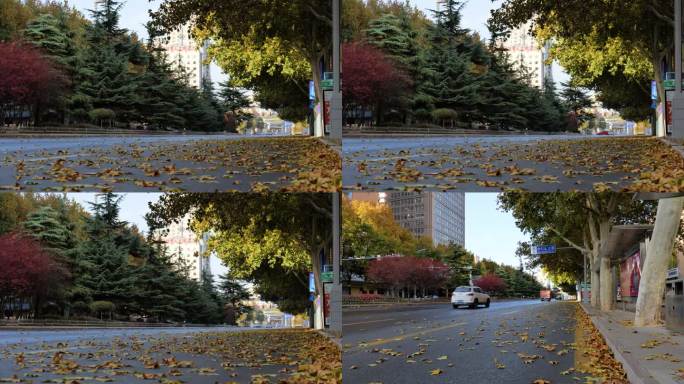 秋冬落叶荒凉的城市街道