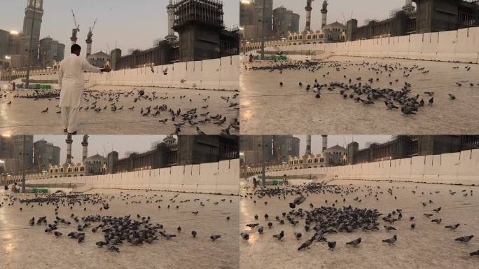 沙特阿拉伯王国的麦加城。朝拜者在大清真寺(麦加)附近的广场上喂鸽子。城市的动物