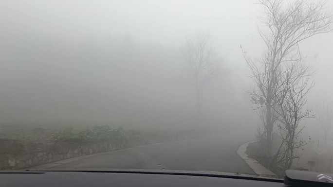 雾天开车