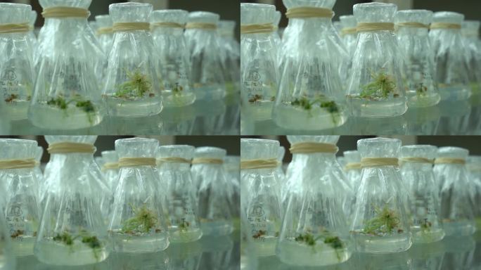 高级实验器材科研环境科研人员工作 农业