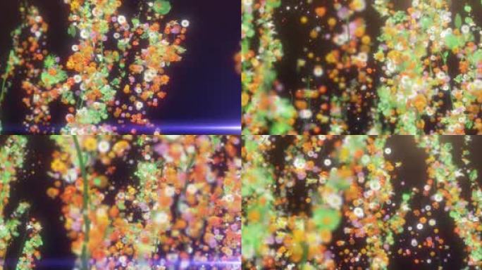 【视频】鲜花生长 04