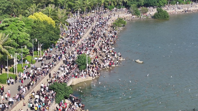 周六日深圳湾公园观鸟人群