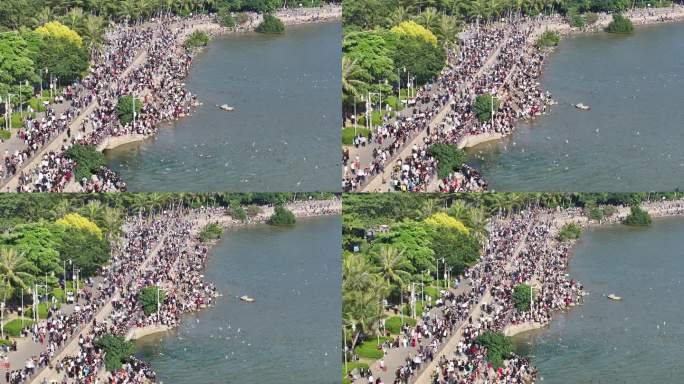 周六日深圳湾公园观鸟人群