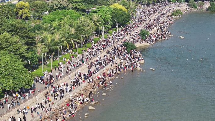 深圳湾公园观鸟人群深圳湾候鸟