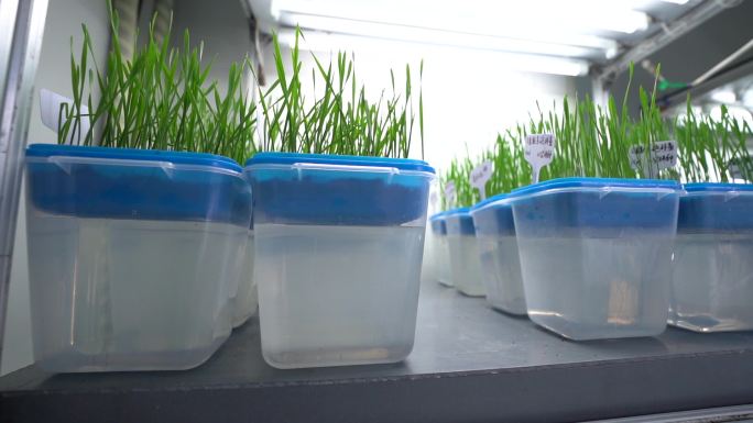 高级实验器材科研环境科研人员工作