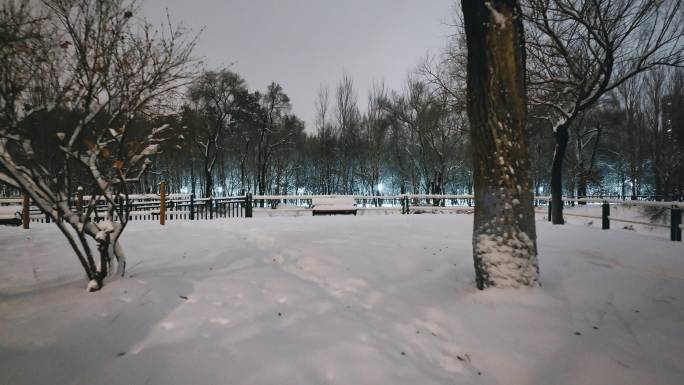 4K哈尔滨下雪雪后河边长椅树林积雪航拍