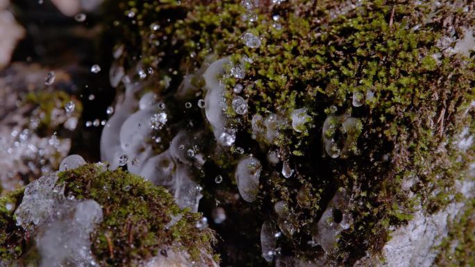 超级慢动作，微距，DOF:河水飞落到冰冷的苔藓岩石