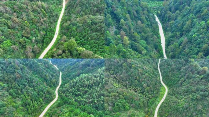 航拍新能源汽车行驶在森林山路上行驶