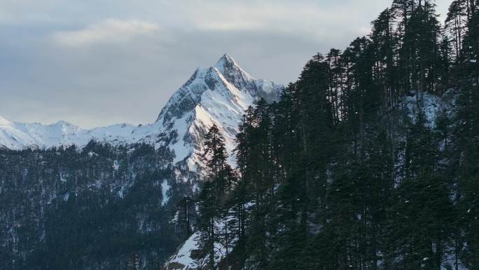 航拍雪山森林