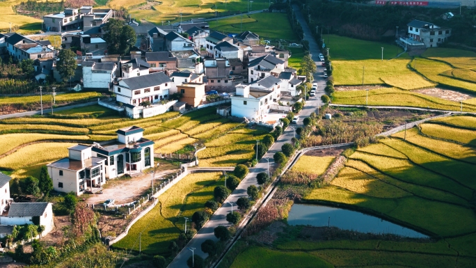 美丽田野乡村新农村青山大地