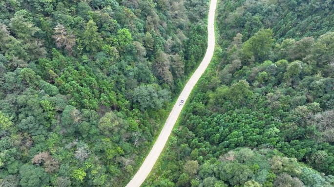 航拍汽车行驶在森林乡村山林公路