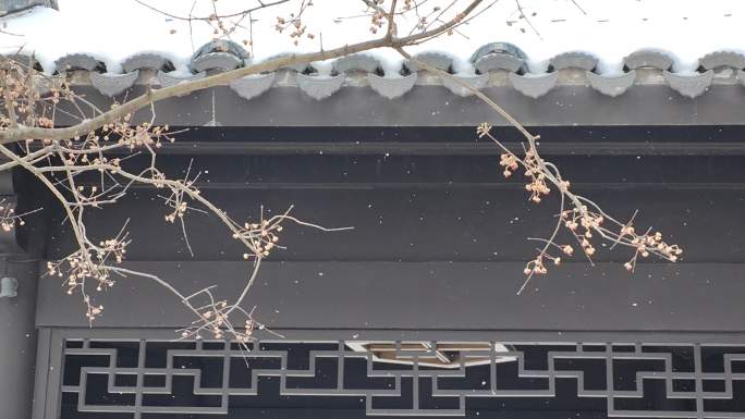 ⚝4K横屏⚝仿古建筑屋檐雪景树枝前景