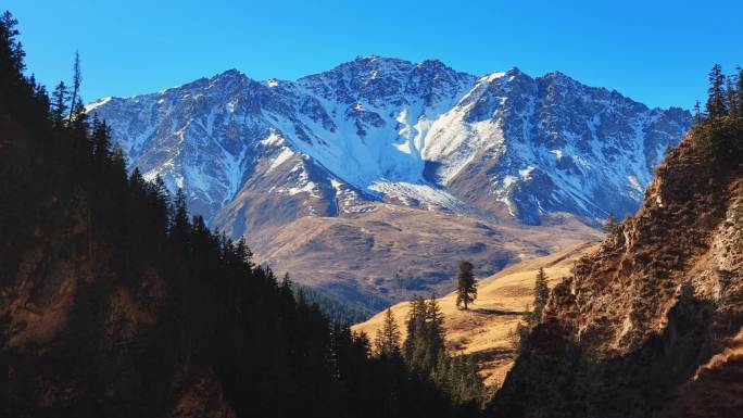 航拍祁连山森林雪山