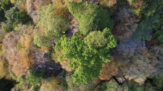 鱼峰山公园