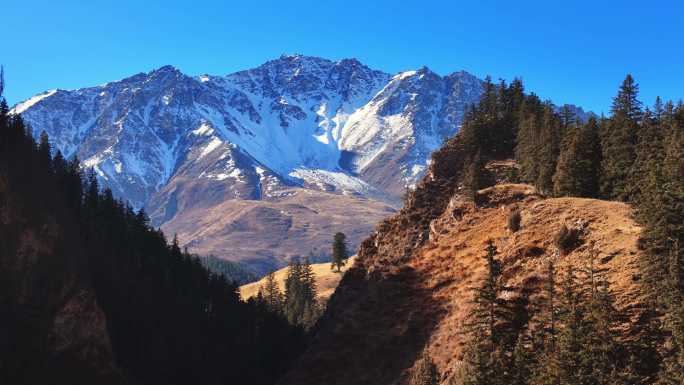 航拍祁连山森林雪山