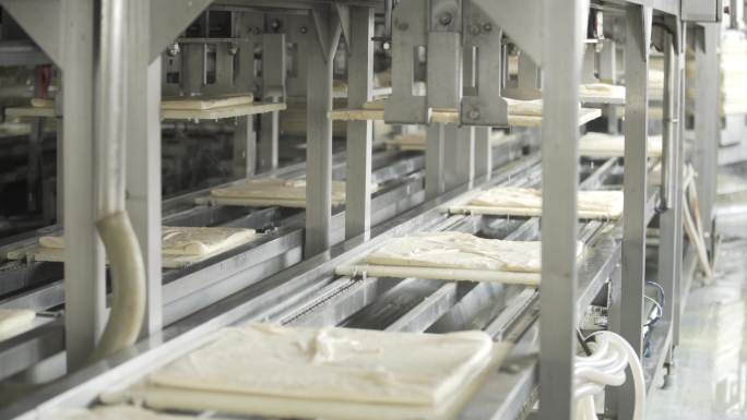 豆干豆制品工厂生产过程流水线机械化