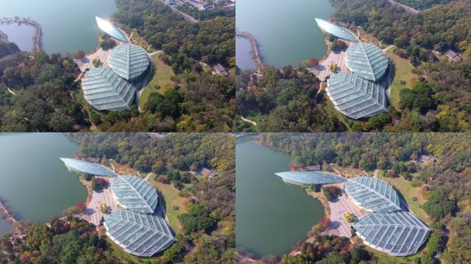 南京中山植物园航拍