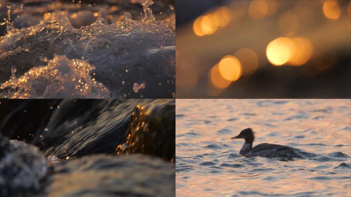 唯美夕阳流水 水滴水花素材_01