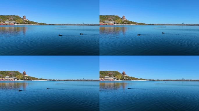 冬季颐和园蓝天下建筑与湖面风光