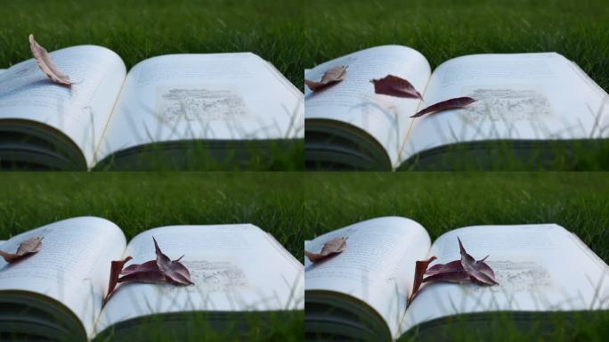 4K秋日草坪上树叶掉落在书本上升格拍摄1