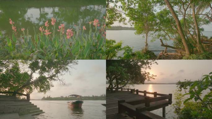 傍晚湖边夕阳水草-黄昏日落