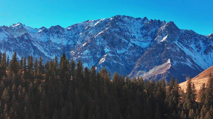 航拍祁连山森林雪山