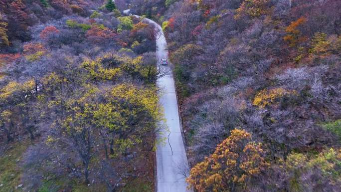 山路跟车航拍大山的秋色