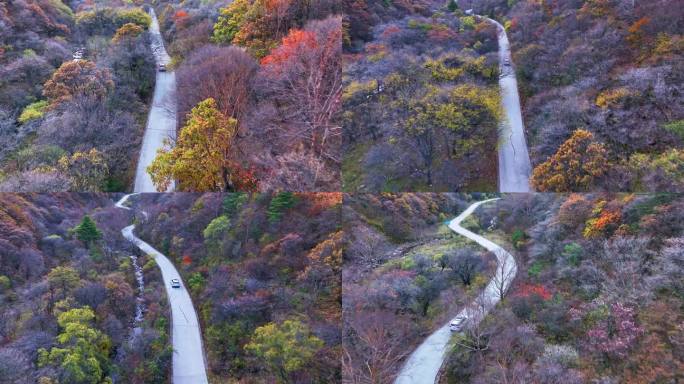 山路跟车航拍大山的秋色