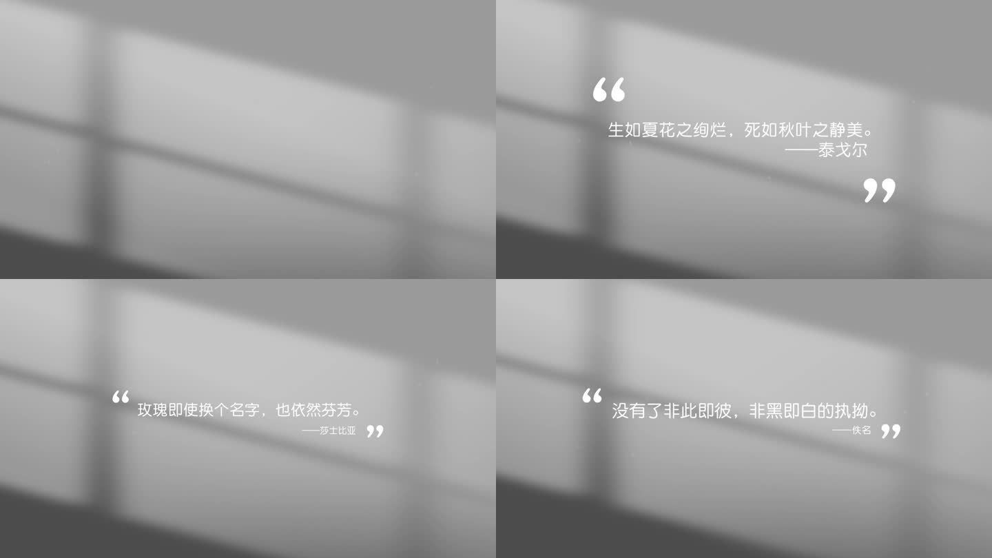 【原创】极简光影党政篇章标题文字片头