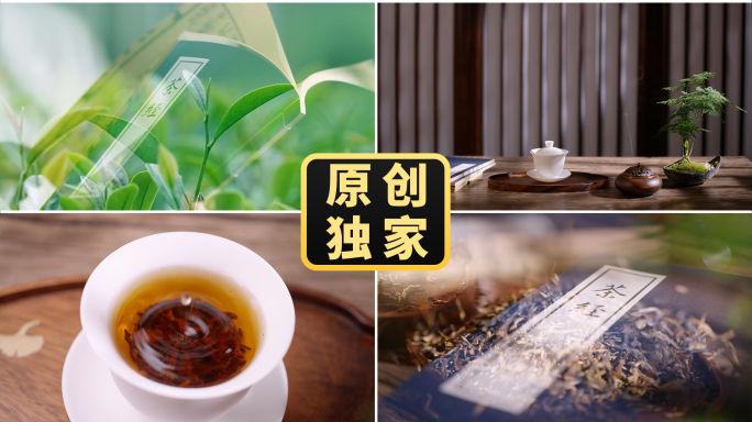 茶经茶道茶叶茶文化古风茶馆茶艺倒茶红茶