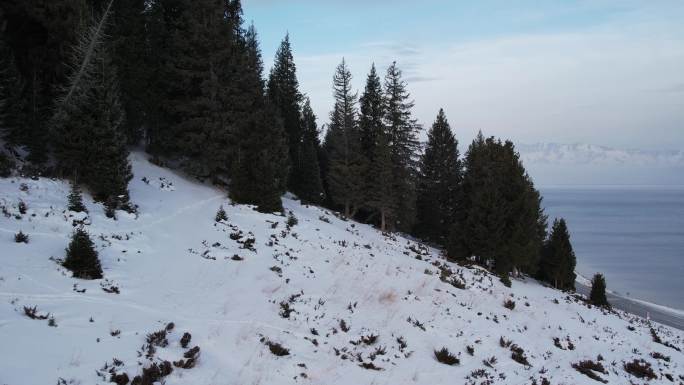 冬天新疆赛里木湖雪景