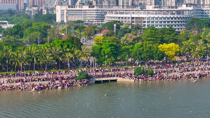 4K航拍深圳湾公园