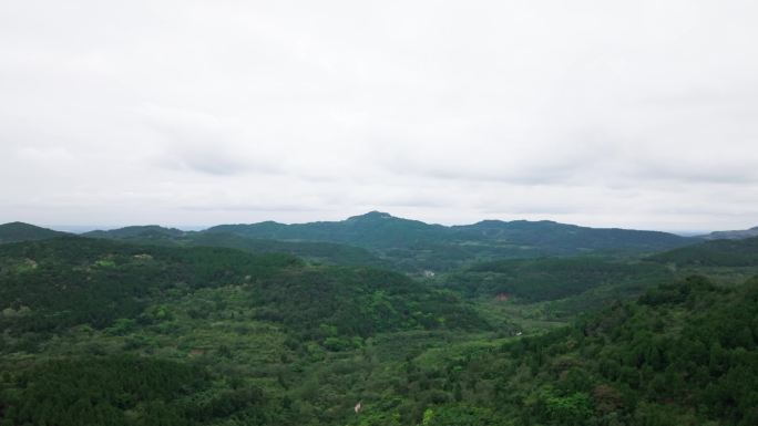 森林树林阳光山脉绿色天空俯瞰村庄