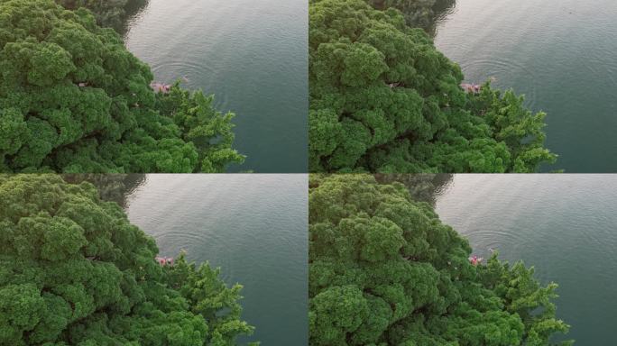 柳州江滨公园跳水