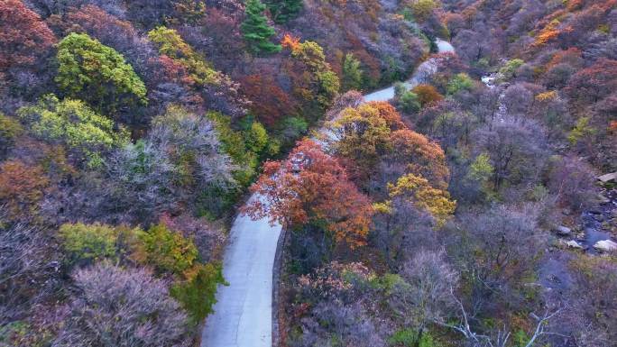 航拍深秋时节的山间公路