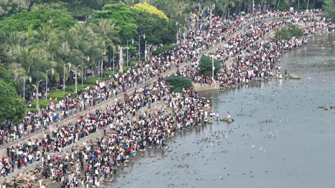 深圳湾公园观鸟人群深圳湾候鸟