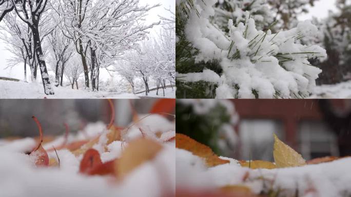 8条4K雪花飘落积雪白雪皑皑素材