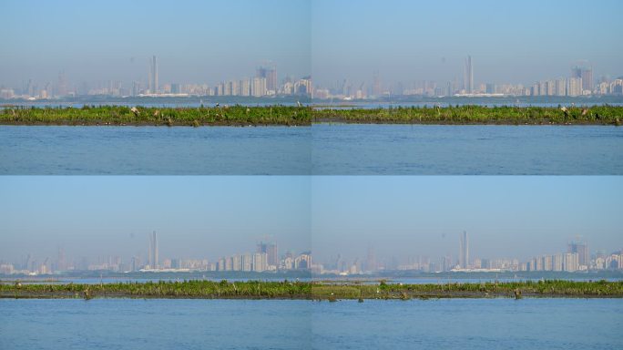 深圳城市风景海面运动拍摄