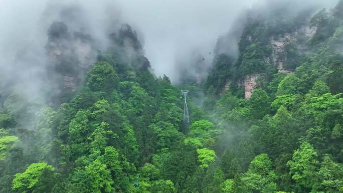 航拍 索道 平流层 云雾 森林公园