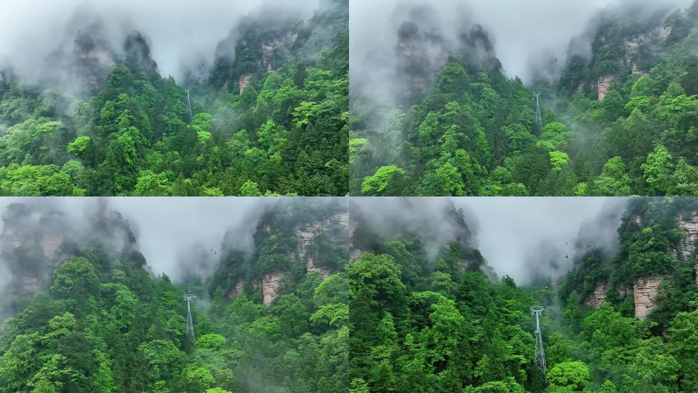 航拍 索道 平流层 云雾 森林公园