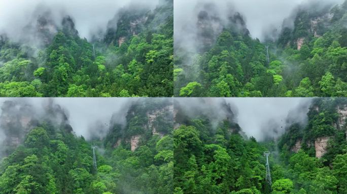 航拍 索道 平流层 云雾 森林公园