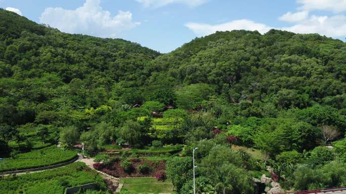 福建省厦门市海沧区大屏山公园航拍