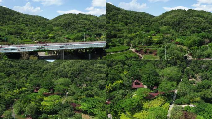 福建省厦门市海沧区大屏山公园航拍