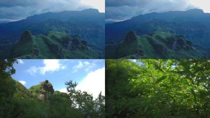 大自然 大山树叶特写镜头_集锦