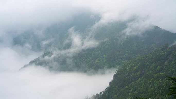 4K高清山峰云海云雾缭绕