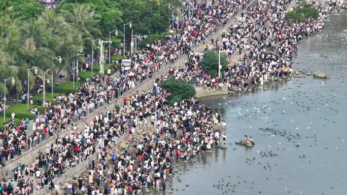 深圳湾公园观鸟人群深圳湾候鸟